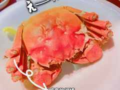 -蟹榭·本帮江浙菜·蟹宴(五角场合生汇商场店)