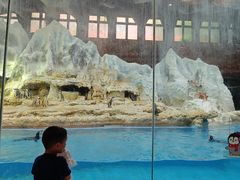 -帝企鹅自助餐厅•儿童岛•真企鹅(长隆企鹅酒店)