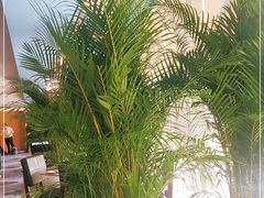 -万德诺富特酒店·自助餐厅(万德大厦店)