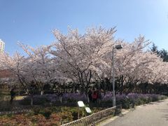 -白塘生态植物园