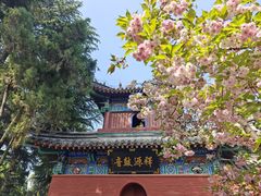 -洛阳白马寺