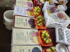 -马陆小张葡萄园农家乐