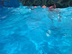 -郑州方特水上乐园
