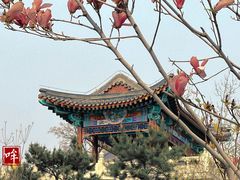 -西海子公园