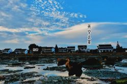 -水八仙生态园