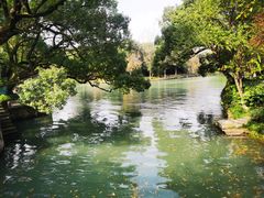 -西溪国家湿地公园