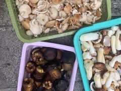 -野菌园·野生菌火锅首创第一家(关兴路总店)