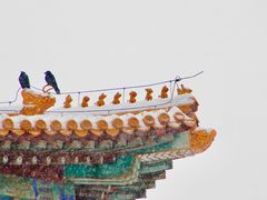 -故宫博物院(故宫)