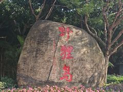 -野狸岛