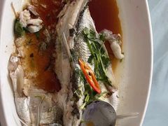 -八仔大富楼·河鲜(西江店)