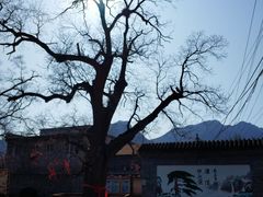 门面-康陵正德春饼宴26号