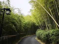 -苏州环秀晓筑养生度假村