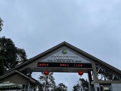 -中国大熊猫保护研究中心雅安碧峰峡基地