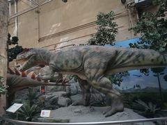 -国家自然博物馆