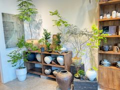 -自由生长植物工作室(深港花卉中心店)