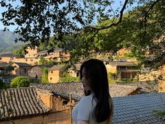 -杨家堂村