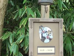 -巴黎迪士尼乐园