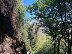 -武夷山风景名胜区-虎啸岩