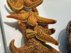 -大锅强·蒸海鲜青岛菜(吾悦广场店)