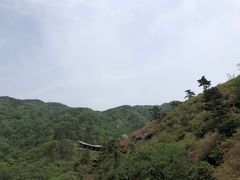 -木兰云雾山