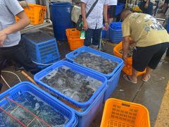 水产区-黄沙水产交易市场