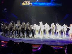 -珠海横琴长隆《卡卡虎奇遇记》