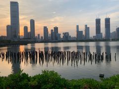 -深圳湾公园(南山区)