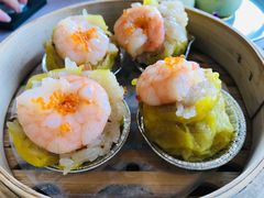 特色糯米鲜虾烧卖-迎悦轩(维景湾店)