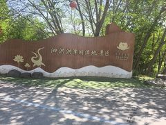 -泗洪洪泽湖湿地景区