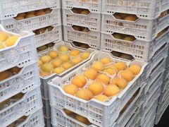 -西郊国际农产品交易中心