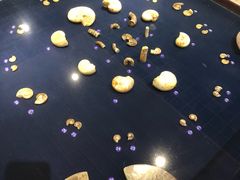 -青岛贝壳博物馆