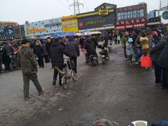 -中环花鸟鱼虫市场