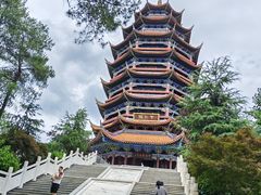 -铁山坪森林公园