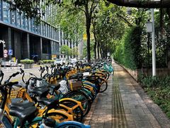 -深圳市当代艺术与城市规划馆