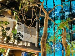 -桂满陇·海市蜃楼·黑金(国金店)