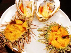 海胆刺身-鱼亭料理(芝罘店)