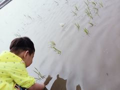 -晶宝温泉农庄