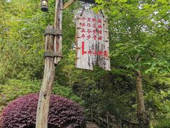 -雁南飞茶田景区