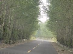 -大青沟风景区