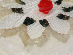 鲜虾生-炳胜品味(海印总店)