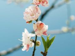 -管氏翅吧(广渠门店)