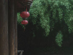 -阿哈湖国家湿地公园