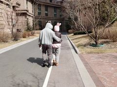 -洛佩塔蛋糕