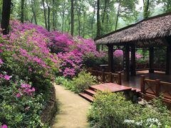 -南山风景名胜区