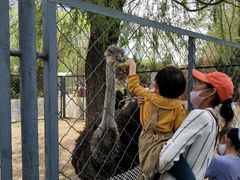 -长白岛森林公园