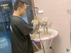 -FAELING PETS美天灵宠物(富力广场店)