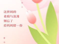 -三亚华浔品味装饰公司