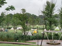 -佛手湖郊野公园