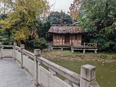 -陈麻婆豆腐(旗舰店)