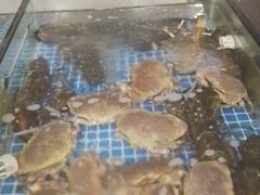 -天鲜阁·海鲜粤菜·33年老字号(石槎白云站店)